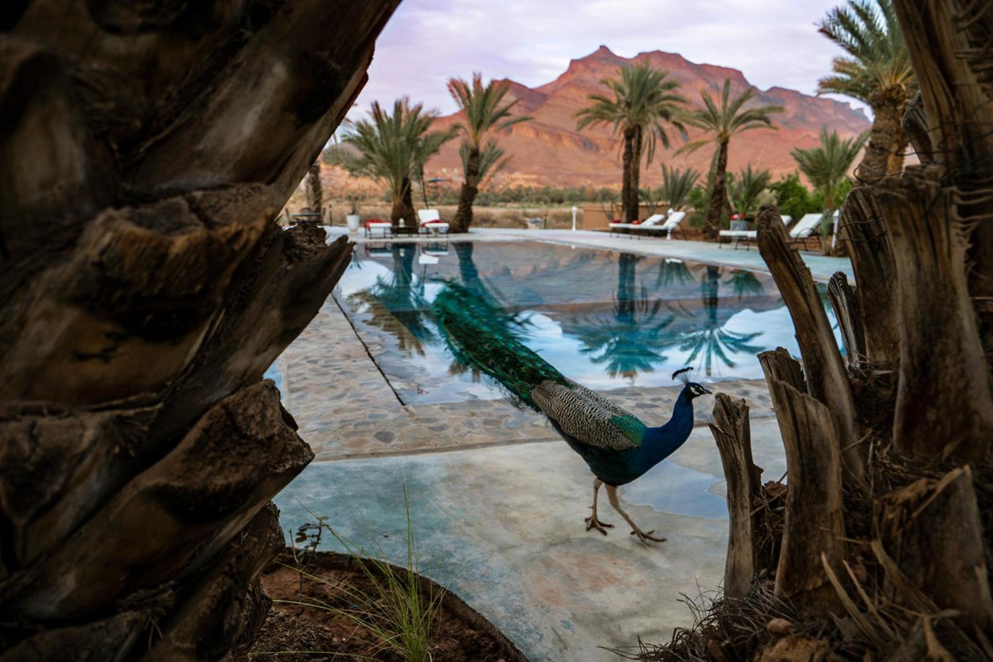 Lodge Hara Oasis แอกด์ซ ภายนอก รูปภาพ